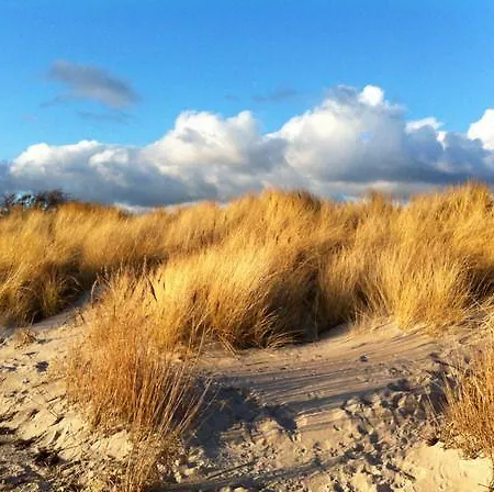Landlust Fehmarn Fluegge